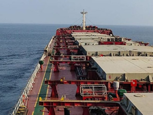 Vietnamlılar panamax'lara talip