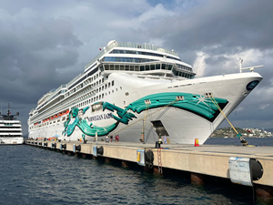 Bodrum'a "Norwegian Jade" kruvaziyeriyle 2 bin 513 yolcu geldi