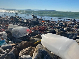 Bodrum'da deniz dibinden 2 tonu aşkın atık çıkarıldı