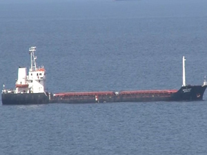 Ukrayna tahılını taşıyan gemi İstanbul Boğazı açıklarında demirledi