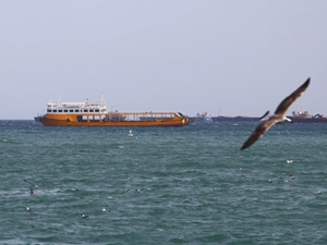 Poyraz deniz ulaşımında aksamalara neden oluyor