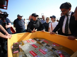 Çanakkale Boğazı'nda 300 yavru ıstakoz denizle buluştu