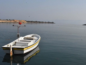 İklim değişikliği nedeniyle deniz canlıları yaşam alanlarını değiştiriyor