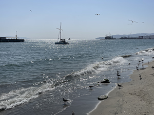 Tekirdağ'da deniz ulaşımına poyraz engeli