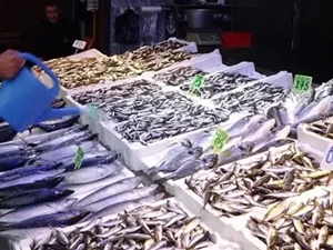Hava koşulları balık fiyatlarını etkiledi