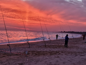Balık Yakalama Yarışması Kocaeli'de yapılacak