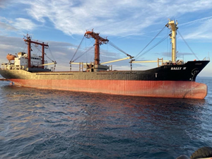 Çanakkale Boğazı'nda dümeni arızalanan gemi güvenli bölgeye demirledi