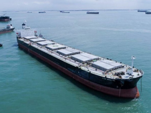 Star Bulk, kamsarmax siparişleri için acele ediyor