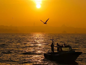 Marmara Denizi'ndeki tehlike: Deniz suyu sıcaklığı!