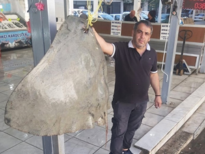 Muğla'da balıkçıların ağına 120 kilogramlık vatoz takıldı