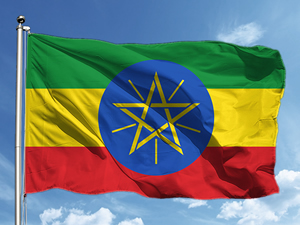 Etiyopya, komşularına liman karşılığında baraj ve hava yolu şirketinden pay teklif etti