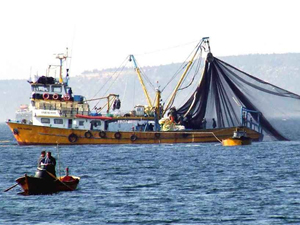 Yasa dışı balık avcılığı yapan 3 kişi yakalandı