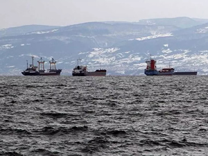 Yük gemileri Sinop'un doğal limanına demirledi