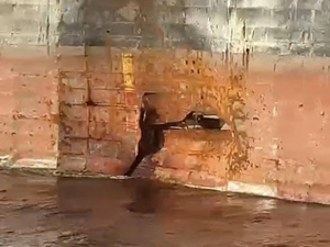 Husiler’in vurduğu gemi Türkiye'ye geldi