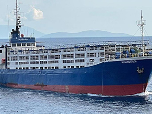 Canlı hayvan taşıma gemisi gözaltına alındı