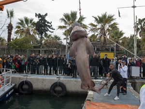 Ölü "altı solungaçlı köpek balığı" kıyıya vurdu