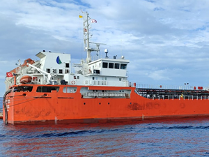 YENİ YÜZYIL, Türk Bayrağı çekti