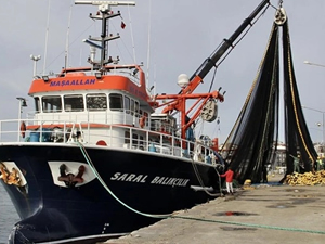 Balıkçılar hamsinin göç etmesi nedeniyle teknelerini barınağa çekti