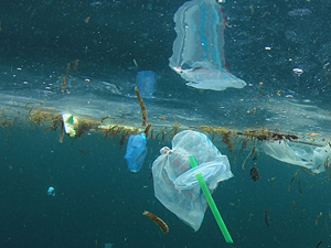 Akdeniz'deki plastik kirliliğinin boyutu alarm veriyor