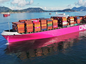 THE Alliance Asya-Kızıldeniz seferlerini askıya aldı