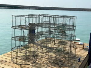 Deniz altında 140 kafes ele geçirildi