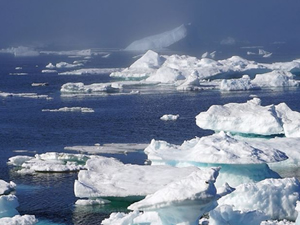 Buzulların erimesine karşı deniz yatağına perde çekecekler