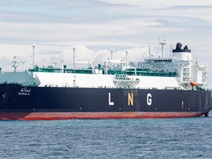 Cezayir'den yola çıkan LNG gemisi Türkiye'ye ulaştı