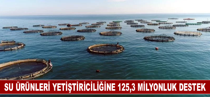 Su ürünleri yetiştiriciliğine 125,3 milyonluk destek