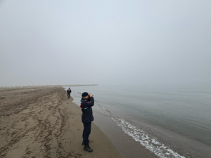 Marmara Denizi'nde batan geminin enkazına 41 kez dalış yapıldı
