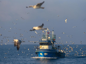 Denizlerde çatışmaları önlemek için yeni kurallar getirildi