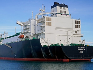 Cezayir'den yola çıkan LNG gemisi 23 Mart'ta Türkiye'de