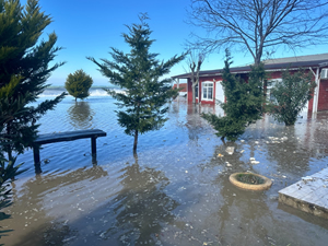 Karadeniz'de oluşan dev dalgalar sahil şeridine zarar verdi