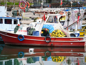 Balıkçılar, 15 Nisan öncesinde sezona "paydos" dedi