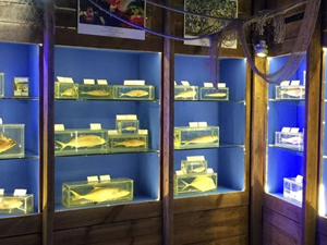 Antalya Deniz Biyolojisi Müzesi boşaltılıyor!