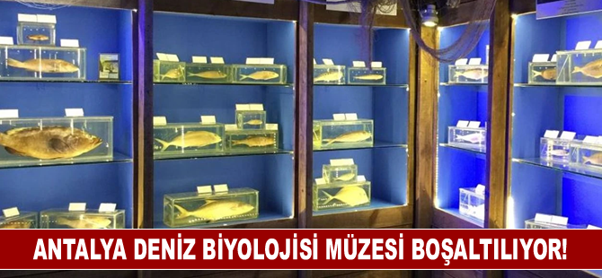 Antalya Deniz Biyolojisi Müzesi boşaltılıyor!