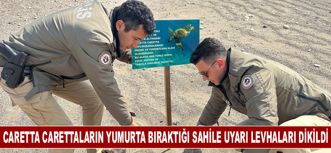 Caretta carettaların yumurta bıraktığı sahile uyarı levhaları dikildi
