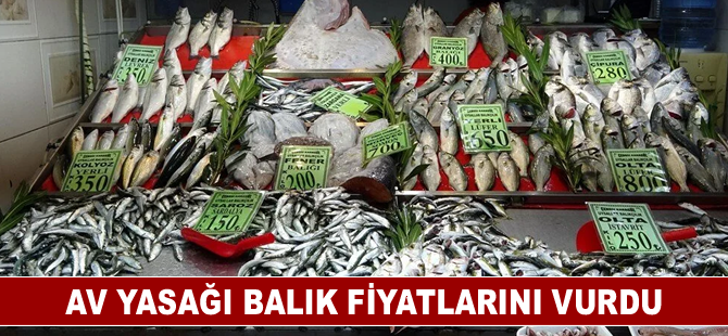 Av yasağı balık fiyatlarını vurdu