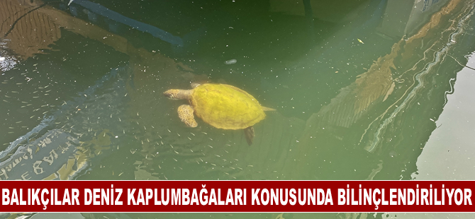 Balıkçılar deniz kaplumbağaları konusunda bilinçlendiriliyor