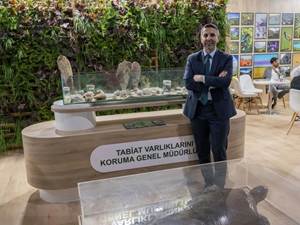 Pina midyeleri Marmara Denizi'ndeki müsilaja karşı