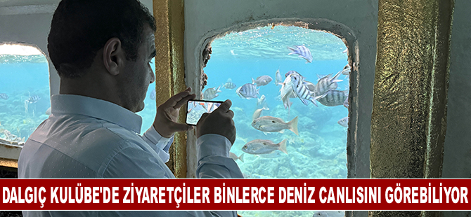 Dalgıç Kulübe'de ziyaretçiler binlerce deniz canlısını görebiliyor