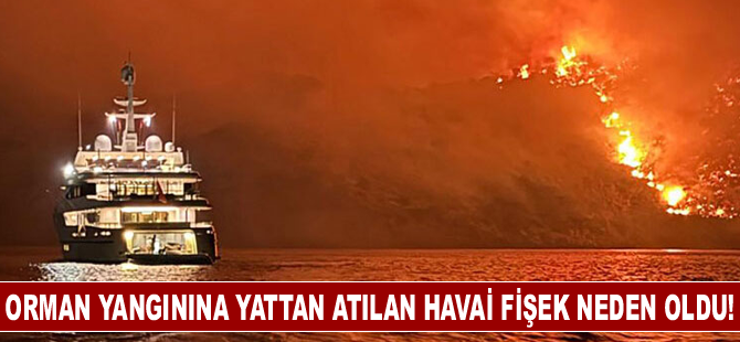 Orman yangınına yattan atılan havai fişek neden oldu!