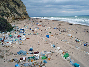 Antalya'da deniz ve kıyılarda plastik kirliliğiyle mücade edilecek