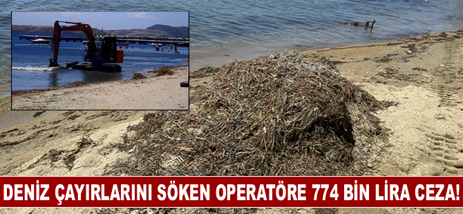 Deniz çayırlarını iş makinesiyle söken operatöre 774 bin lira ceza!