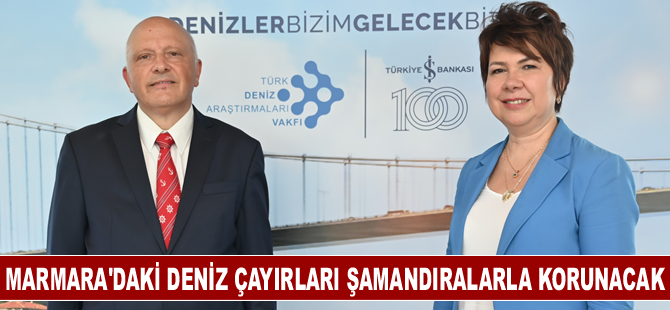 Marmara Denizi ve İstanbul Boğazı'ndaki deniz çayırları şamandıralarla korunacak