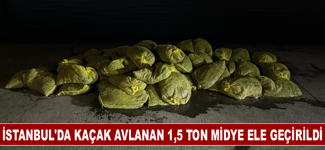 İstanbul'da kaçak avlanan 1,5 ton midye ele geçirildi
