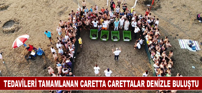 Tedavileri tamamlanan caretta carettalar denizle buluştu