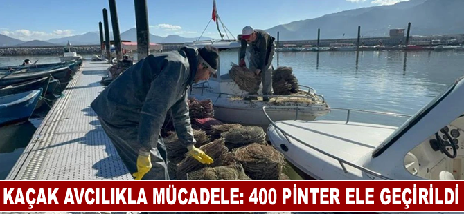 Kaçak avcılıkla mücadele: 400 pinter ele geçirildi