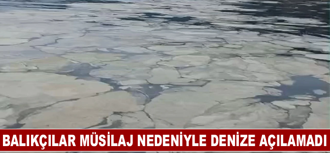 Balıkçılar müsilaj nedeniyle denize açılamadı