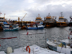 Balıkçılar fırtına öncesi Sinop Limanı'na sığındı