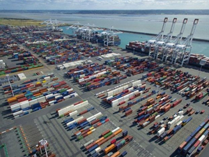 'Kedi kapağı' mavna erişiminin inşasına başlandı